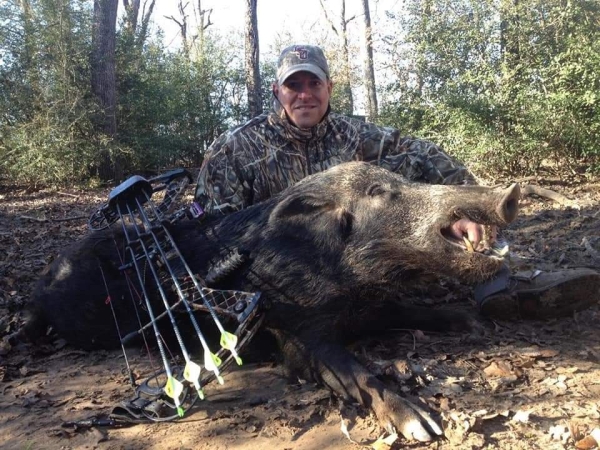 Hog Hunts