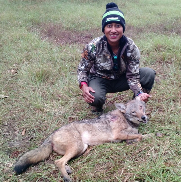 Coyote Hunting